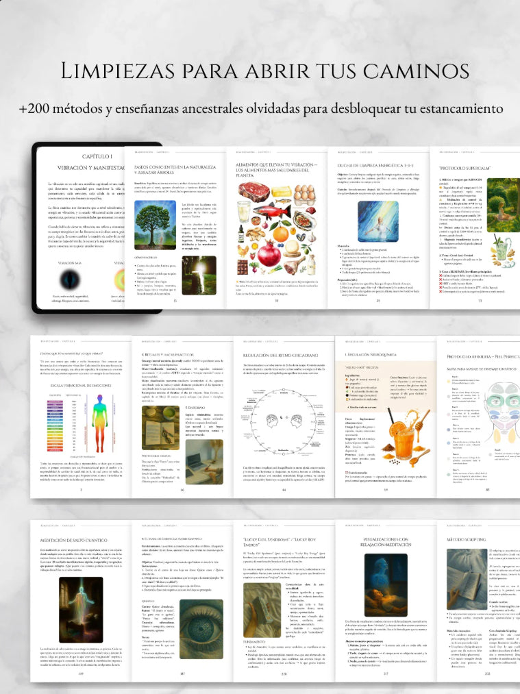 REALIFESTACIÓN - Libro Digital